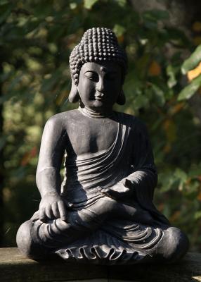 v3/88/337688/3/50760275.Budda_3.jpg