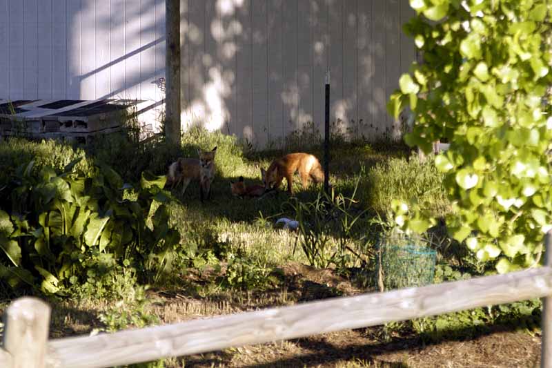 06-14-05.jpg
