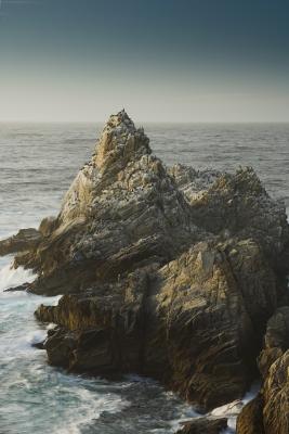 Pt. Lobos _ Pelican Roost