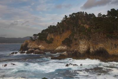 Pt Lobos, Monterey3.jpg