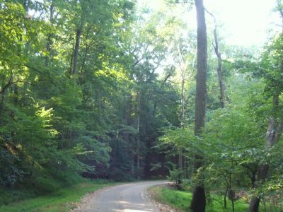 2005_0922Vac_10208.JPG