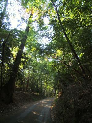 2005_0922Vac_10210.JPG