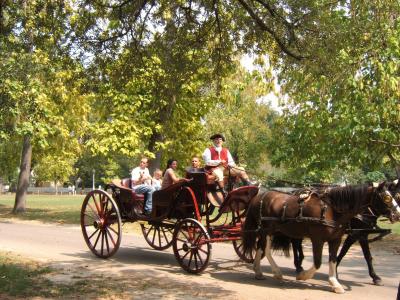 Carriages - Colonial Williamsburg, Virginia