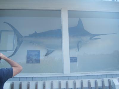 2005_0922Vac_10551.JPG