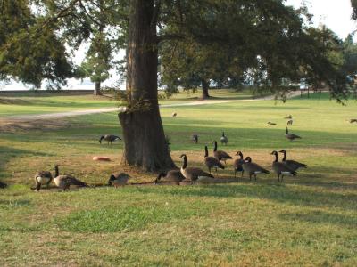2005_0922Vac_10400.JPG