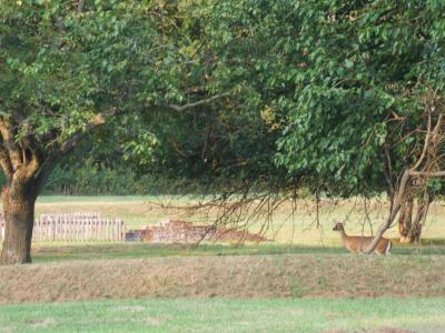 2005_0922Vac_10517.JPG