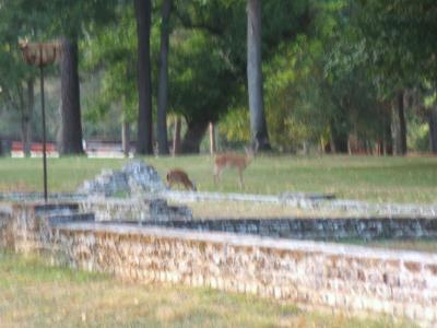 2005_0922Vac_10531.JPG