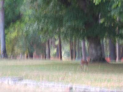 2005_0922Vac_10532.JPG