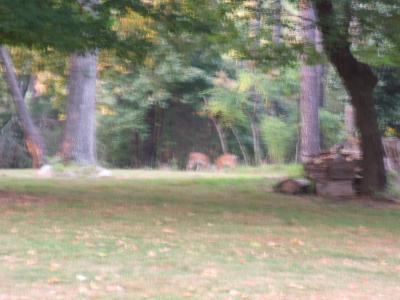 2005_0922Vac_10534.JPG