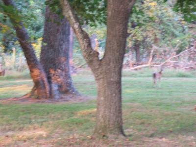 2005_0922Vac_10537.JPG