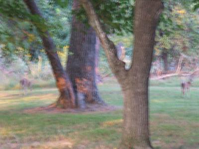2005_0922Vac_10538.JPG