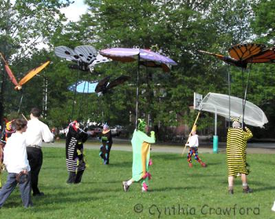 v3/88/473688/3/46261263.butterfliesbutterflydanceweb.jpg