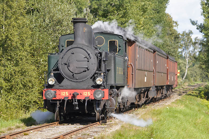 LC4S8553.jpg