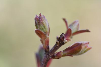 My small macro!!