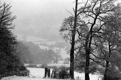 totteridge-valley.jpg