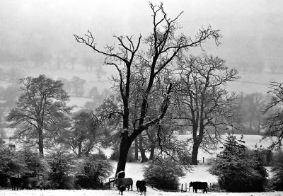 totteridge-valley2.jpg