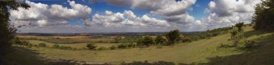watlington-stitched.jpg