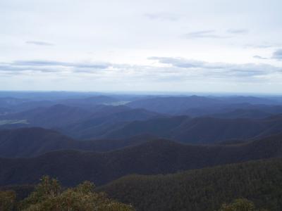 WONNANGATTA VALLEY FROM PINACLES