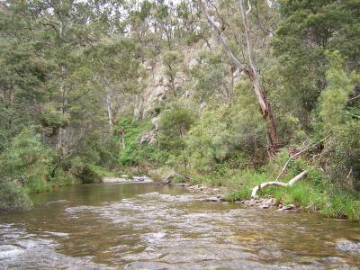 CROOKED RIVER