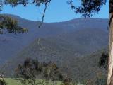 BILLY GOAT  BLUFF TRACK