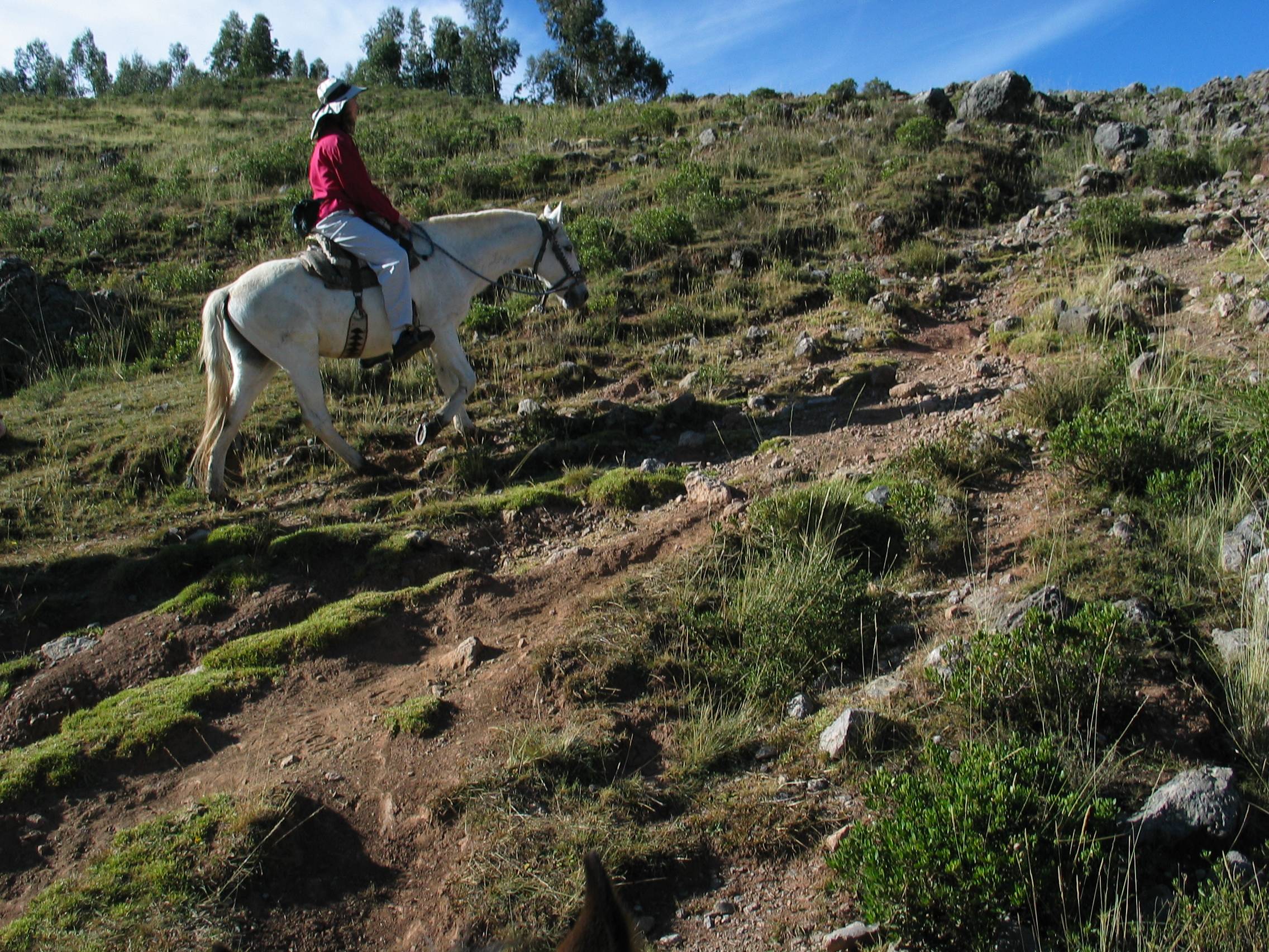 Horseback riding near Cusco