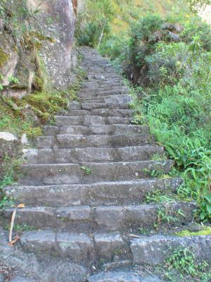 Inca stairs en route to Huayna Picchu