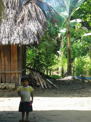 Subsistence Farm near Pilcopata