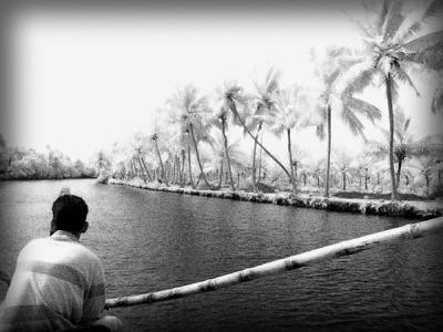 backwaters, kerala