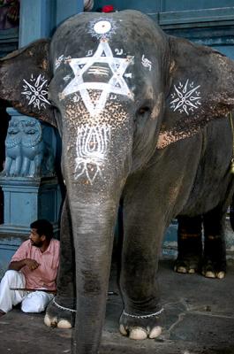 lakshmi, pondicherry