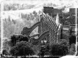 flying buttresses, guanajuato