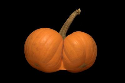 Twin Pumpkins