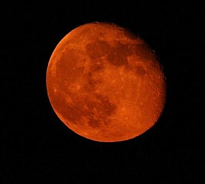 v3/88/606188/3/51005694.Moon_1copy.jpg