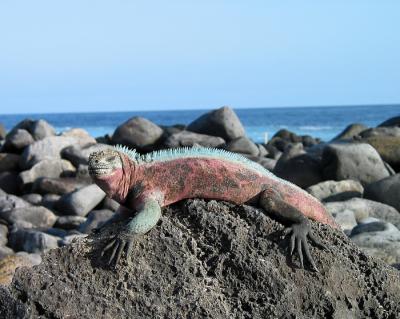 IMG_1343_PS8x10.jpg