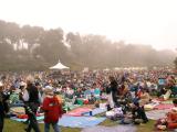 Foggy Saturday crowd