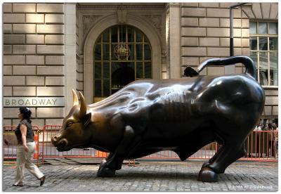 Wall Street Bull