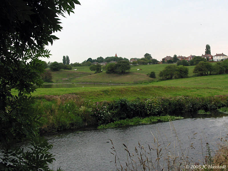 The Meadow