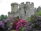 Warwick Castle in Bloom