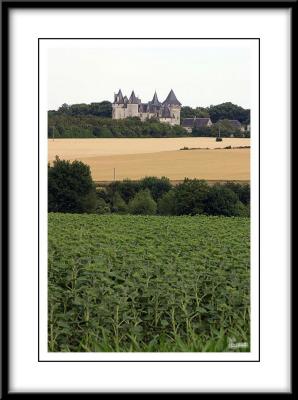 Unknown castle