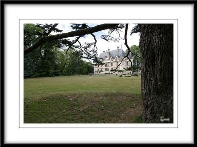 Chateau d'Azay-le-Rideau - View form the park