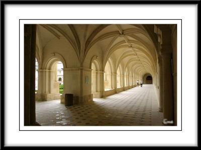 l'Abbaye de Fontevraud