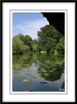 Fish pond