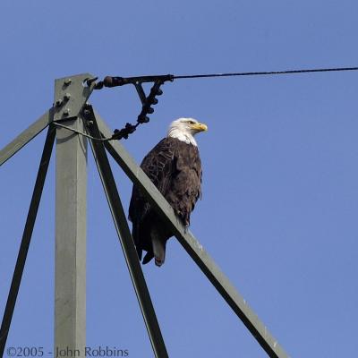 ABE on the Tower