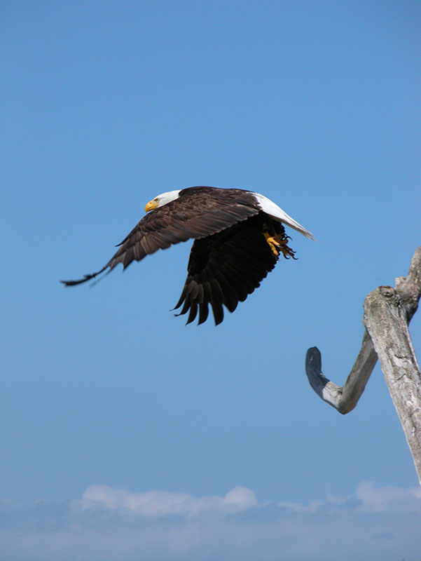 05072007.jpg