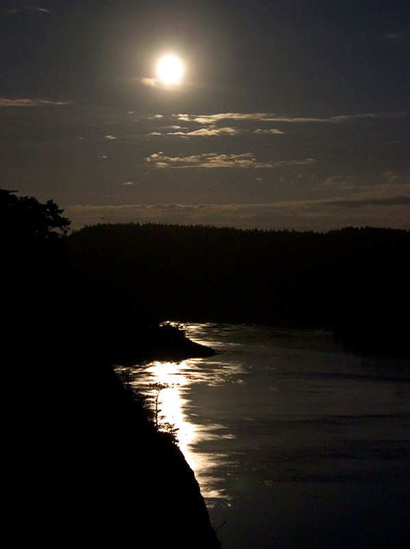 Moonlight