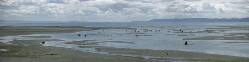 Eagle & Heron Gathering