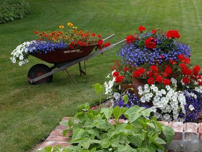 Patriotic Garden