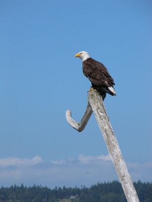 05072006.jpg