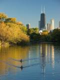 Lincoln Park, Chicago