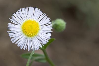 IMG_2053p.jpg