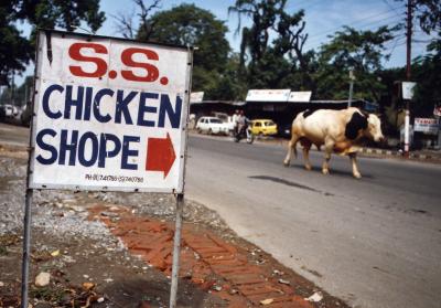 S.S. Chicken Shope (near Hardiwar)